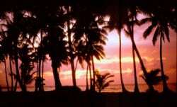 Sunset, Moen Island, Truk Lagoon, Micronesia. Nikon F - 2... by Rick Tegeler 